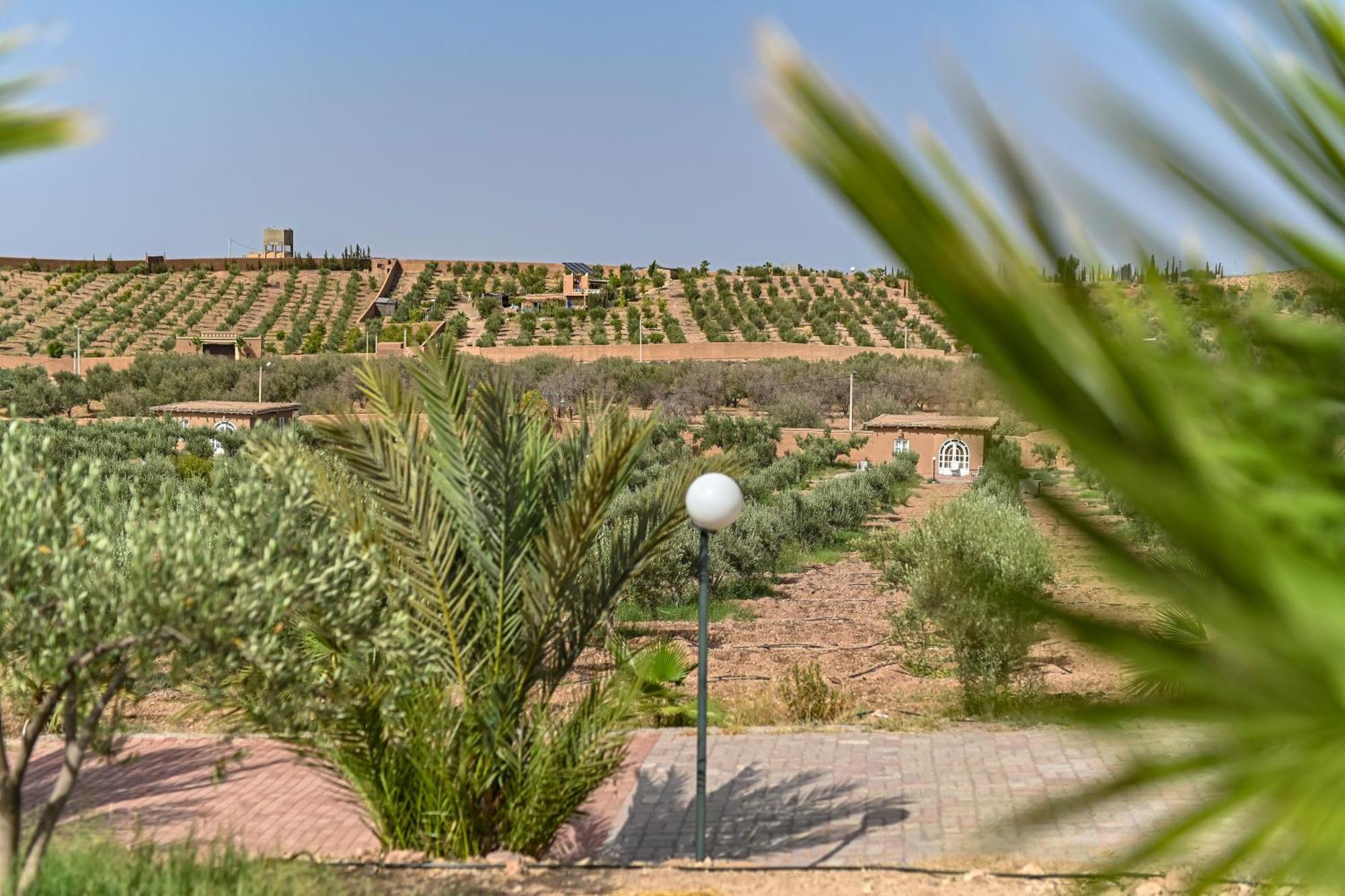 Le Parc Des Oliviers Hotel Hrabil Saâda Exterior photo